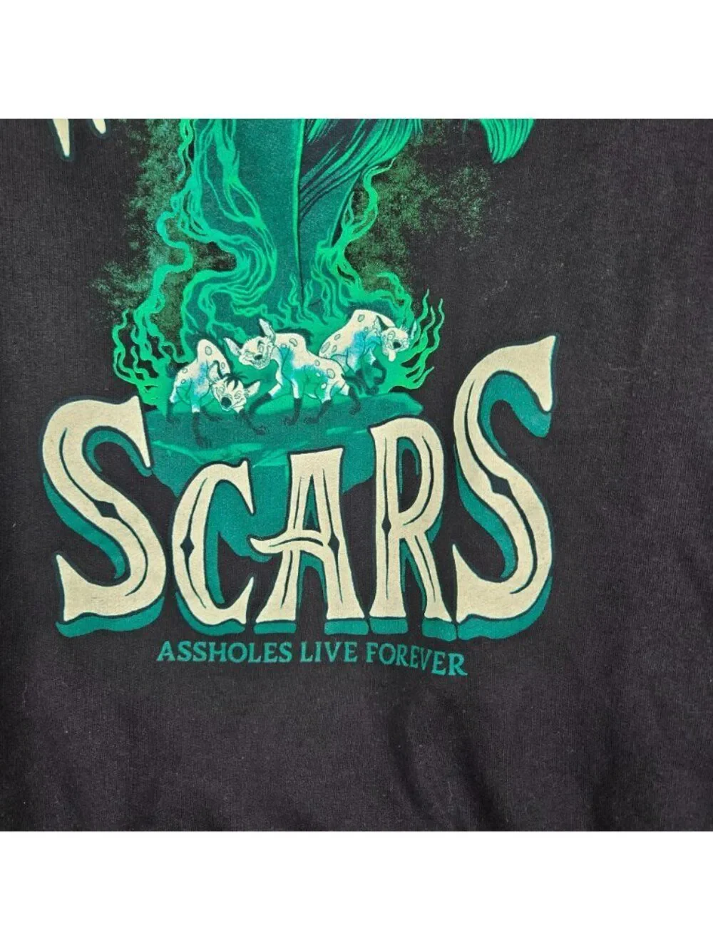 We All Have Scars Black Hoodie Mens S A**holes Live Forever Lion King